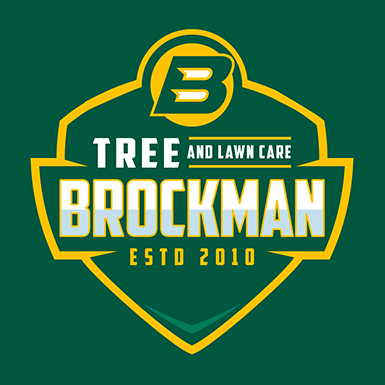 Brockman_logo_v2