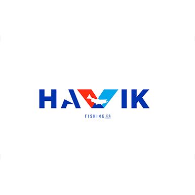 Havik_logo